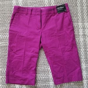 NWT Bermuda City Shorts